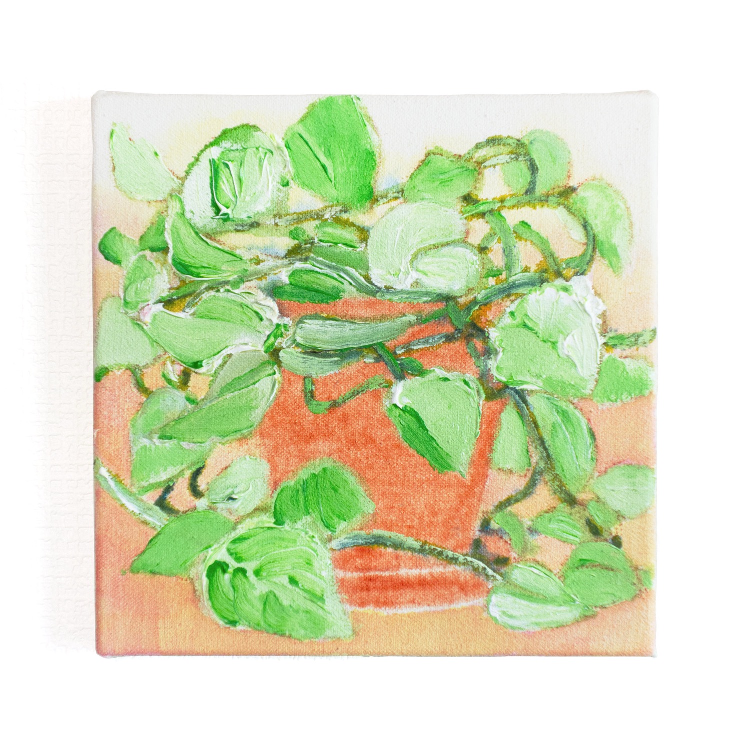 アクリル抽象画「Colors on Canvas」鉢植え植物